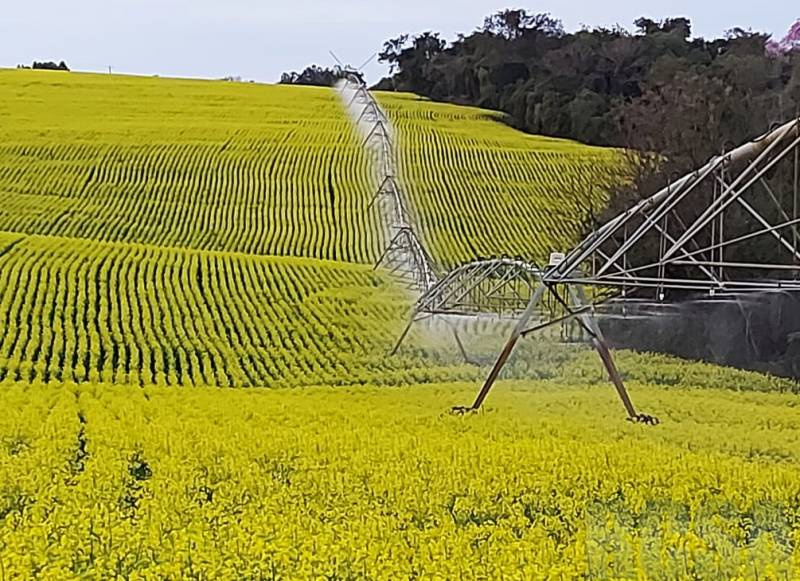 Agosto começa com sol no RS e grande amplitude térmica, nesta terça-feira