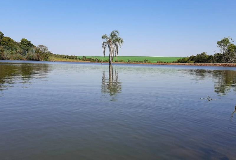 Quarta-feira será de sol e calor no período da tarde em todo RS