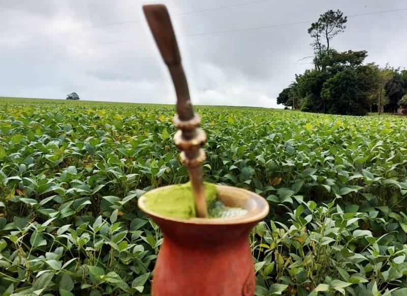 RS terá grandes oscilações de temperatura nos próximos dias, aponta MetSul