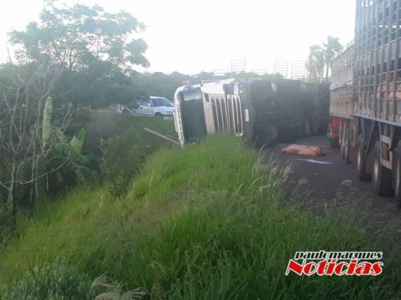 Carreta com carga de suínos tomba na BR 472 em Três de Maio