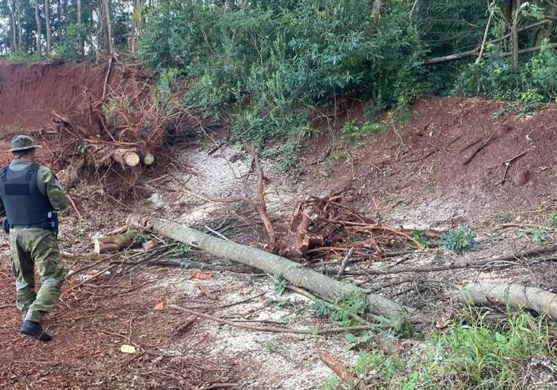 Crimes ambientais são registrados em Santo Ângelo, Tiradentes do Sul e Alegria  