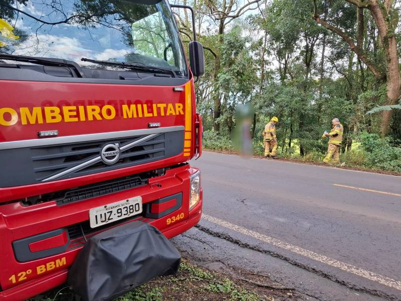 Veículo emplacado em Santo Ângelo sai da pista na ERS 342