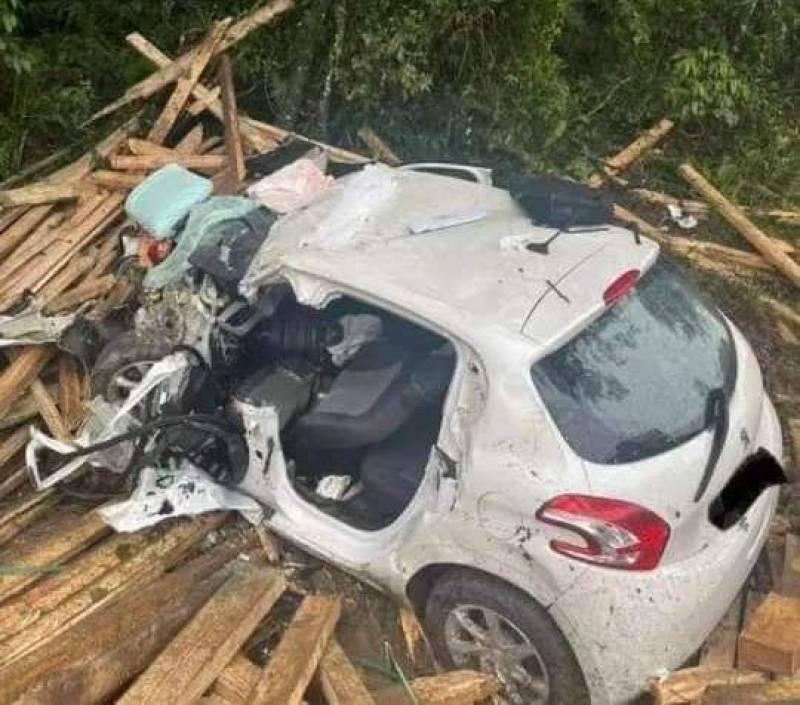 Carga de caminhão cai em cima de veículo e mata homem e cachorro em SC