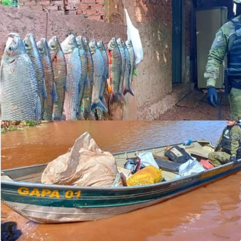 Polícia Ambiental apreende 26 quilos de pescado ilegal e equipamentos de pesca em Garruchos