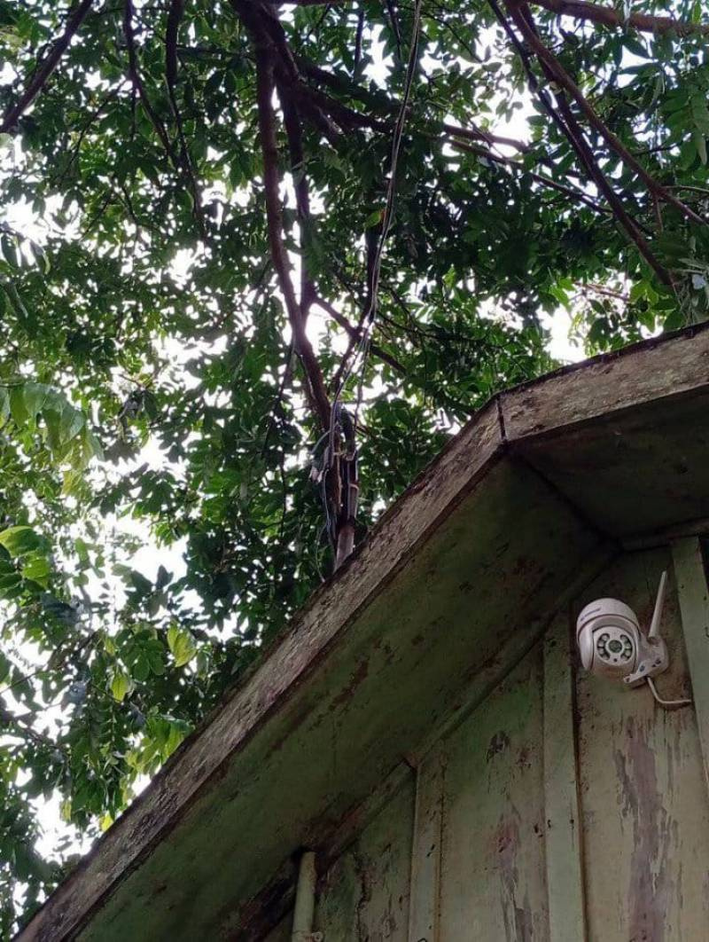 Perigo à vista: família na Buriti enfrenta riscos com fiação elétrica, e não recebe resposta da RGE