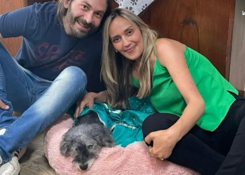 Vereadora realiza festa de aniversário de cadela na Câmara de Caxias do Sul
