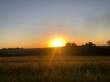 Feriado de Tiradentes terá amanhecer frio e presença do sol no RS; veja a previsão