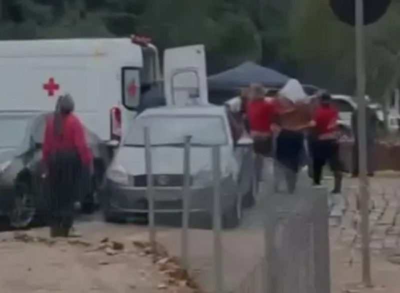 Ataque de abelhas deixa mais de 30 pessoas feridas e dois cavalos mortos em evento no RS