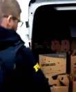 PRF resgata 25 galos de rinha em situação de maus-tratos em Ijuí