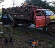 Transporte ilegal de lenha nativa é flagrado pela Patram em Santo Ângelo