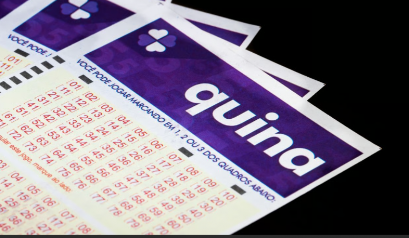  Quina: aposta acerta as 5 dezenas e leva sozinha mais de R$ 33 milhões