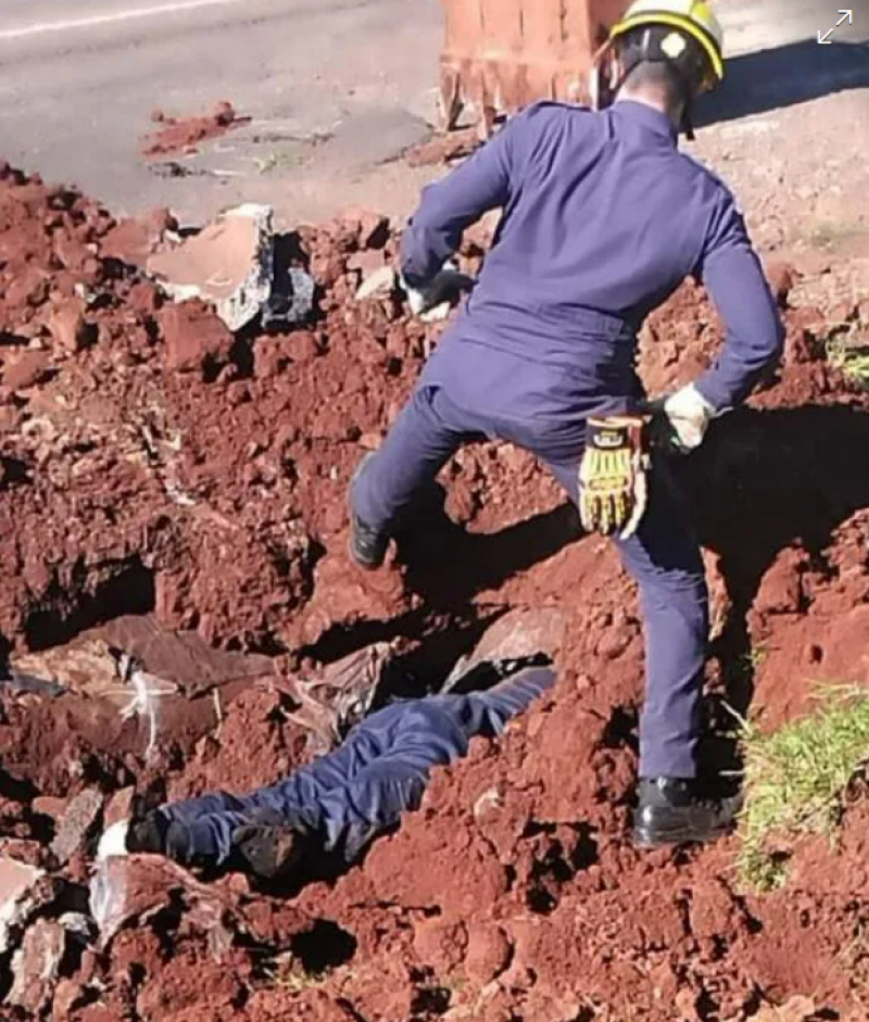 Bombeiros resgatam sete filhotes de cachorro presos em tubulação na BR-158 em Cruz Alta