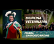 FASA promove formatura no curso de Medicina Veterinária em Santo Ângelo