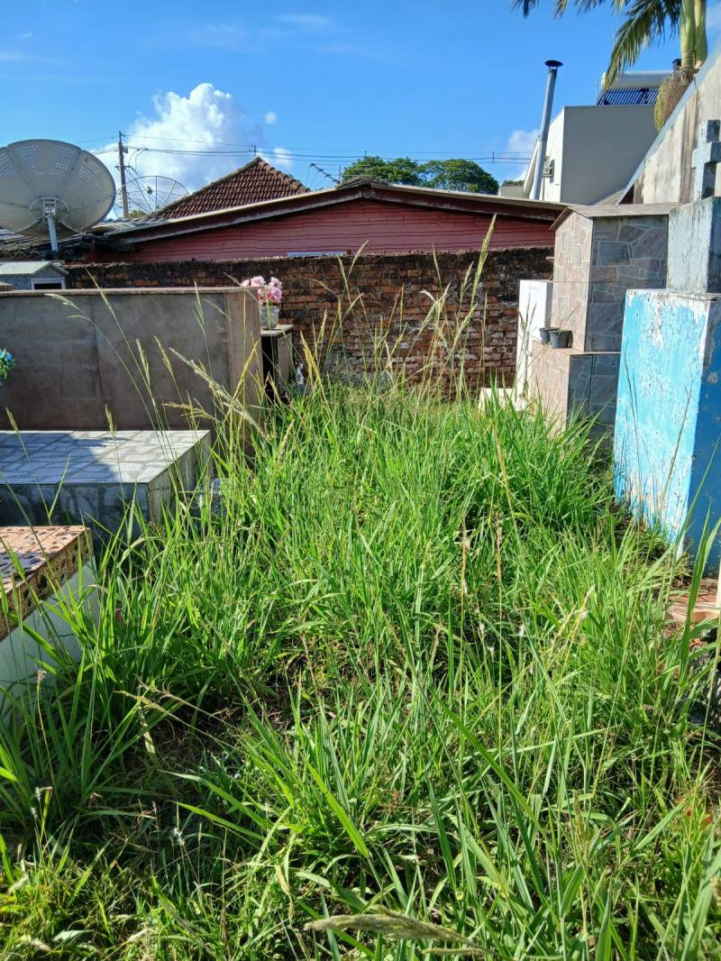 Mato alto e sujeira revoltam visitantes no cemitério municipal de Santo Ângelo