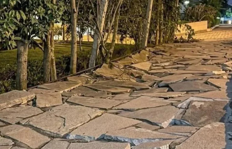 Infestação de ratos destrói calçada e apavora moradores em Bento Gonçalves