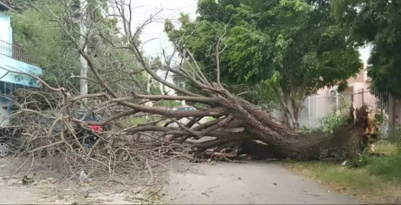 Temporais deixam feridos e desalojados no Rio Grande do Sul