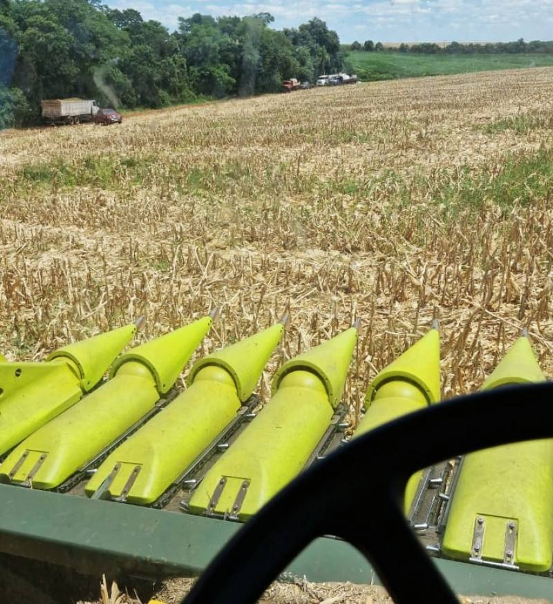 Março termina com calor e sem previsão de chuva no RS nesta terça-feira