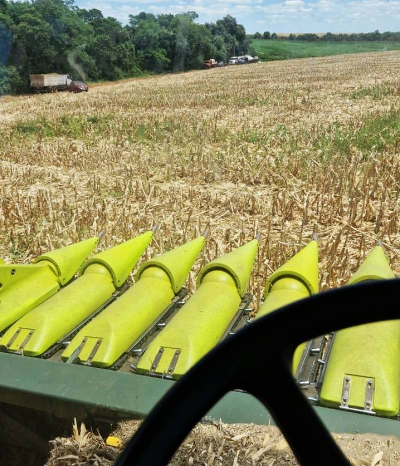 Sábado terá calor e instabilidade no RS