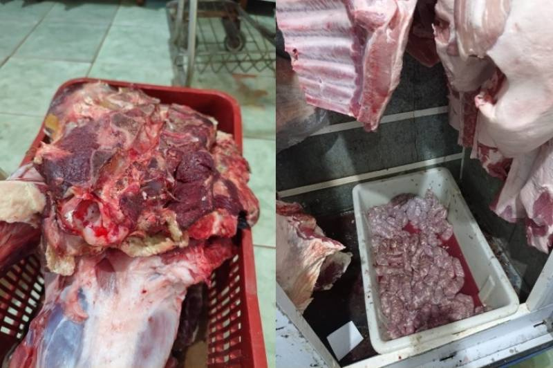 Polícia Civil apreende 250 quilos de carne imprópria e investiga suspeita de abate clandestino na Região Missões