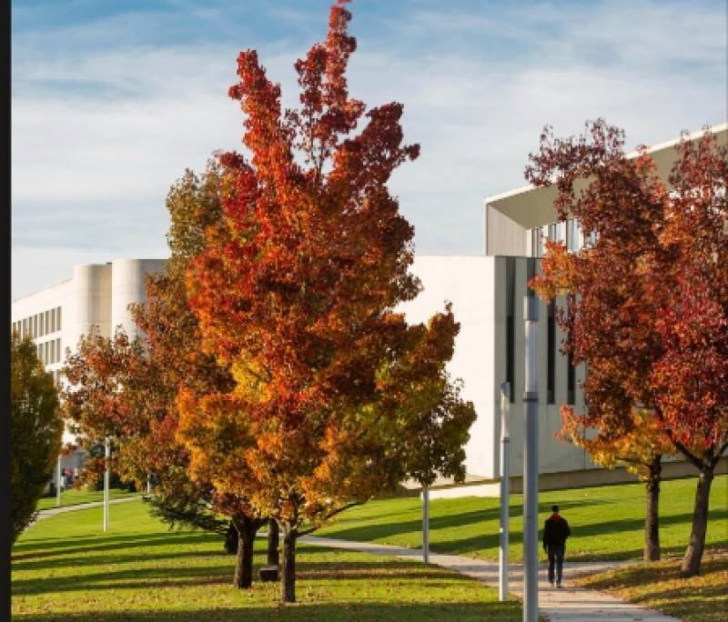 Quarenta e cinco universidades brasileiras caem em ranking das melhores do mundo