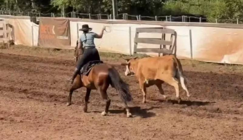 Vereador apresenta projeto para proibir rodeios em cidade do RS