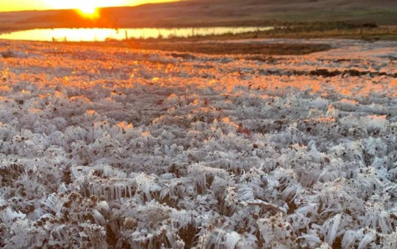 RS registra temperaturas negativas em 12 municípios; menor foi -3,7ºC em São Francisco de Paula