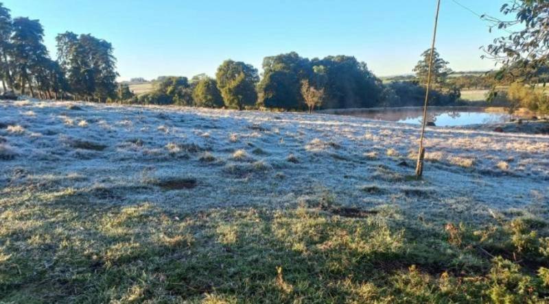 Geada cobre campos de Santo Ângelo e marca amanhecer gelado na Capital das Missões
