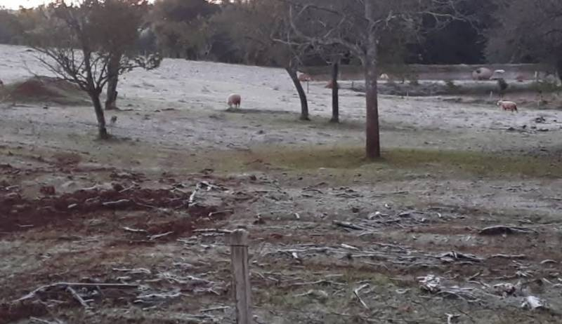 Sensação térmica de -6°C marca a manhã mais fria do ano na Zona Sul