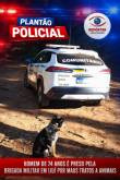 Homem preso por maus-tratos a animais é encaminhado à Penitenciária Modulada de Ijuí
