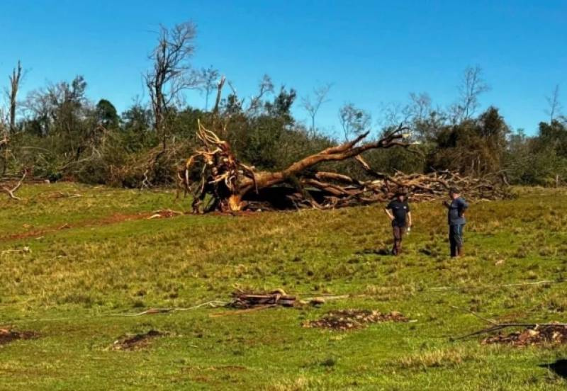 Nova onda de tempestades trará vendavais ao RS neste fim de semana, informa MetSul