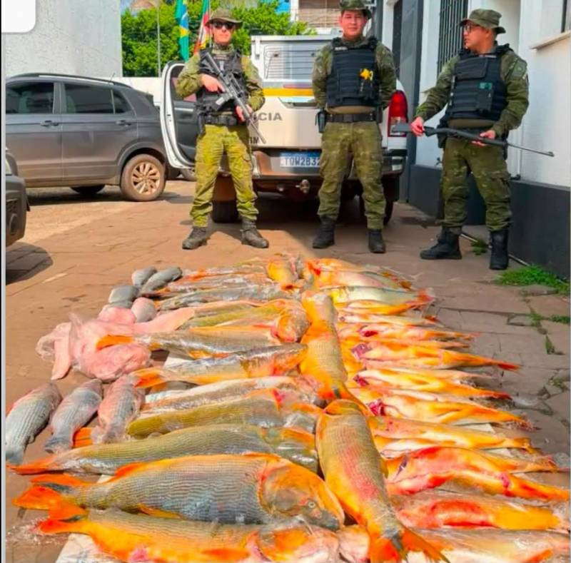 Dois homens presos com mais de 150 quilos de dourados, peixe proibido de captura