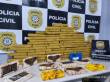 Polícia Civil apreende mais de 64 quilos de drogas enterrados em área de mata em Ijuí