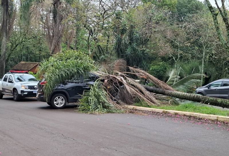 Senhora passa mal ao volante e colide contra árvore em ijuí