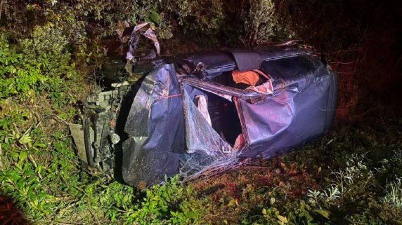 Veículo sai da pista após colidir com capivara na BR-116, em Tapes
