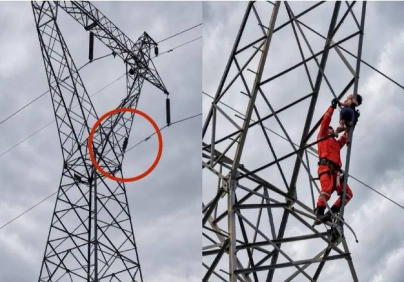 Menino de cinco anos escala torre de alta tensão e é resgatado pelos Bombeiros em Rondônia