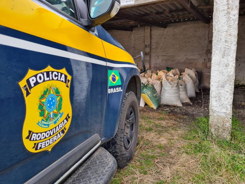 PRF prende homem por saque de carga em acidente na BR 392