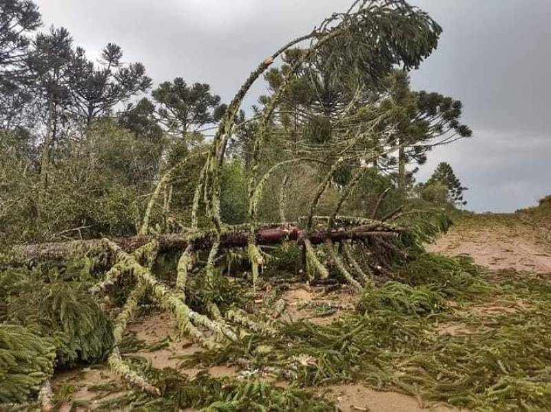Temporal atinge localidade de Arrepio em Bom Jesus