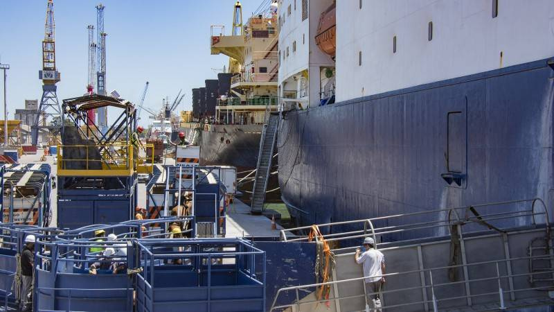 Rio Grande do Sul embarca mais de 11 mil terneiros para o Egito 