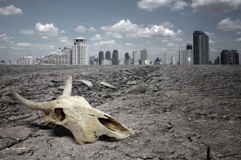 Terra caminha para sexta extinção em massa, segundo especialistas