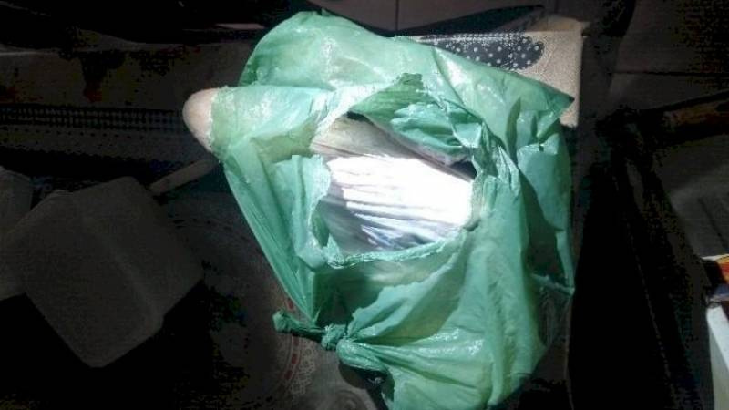 Homem é preso após agredir esposa com peixe congelado em Santa Catarina