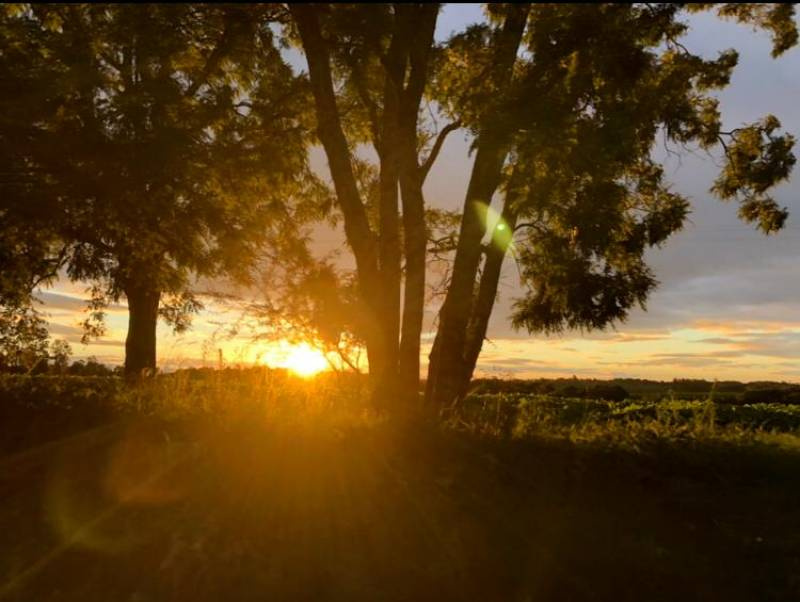 Sol predomina no Rio Grande do Sul nesta quarta-feira